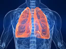szarkoidzis, COPD, veseelgtelensg, COVID sztori, baktriumok…